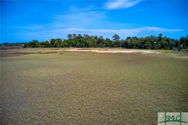 $1,995,000 | 9 Longbridge Road, Savannah, GA 31410