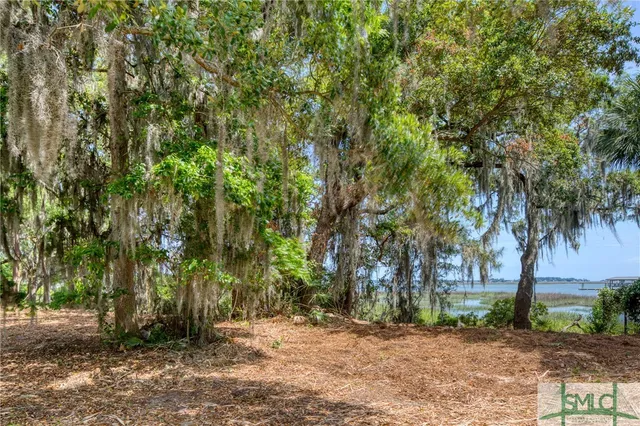 $1,995,000 | 9 Longbridge Road, Savannah, GA 31410