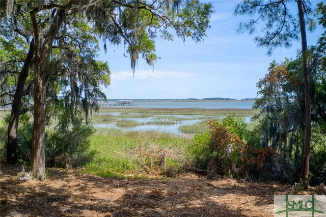 $1,995,000 | 9 Longbridge Road, Savannah, GA 31410