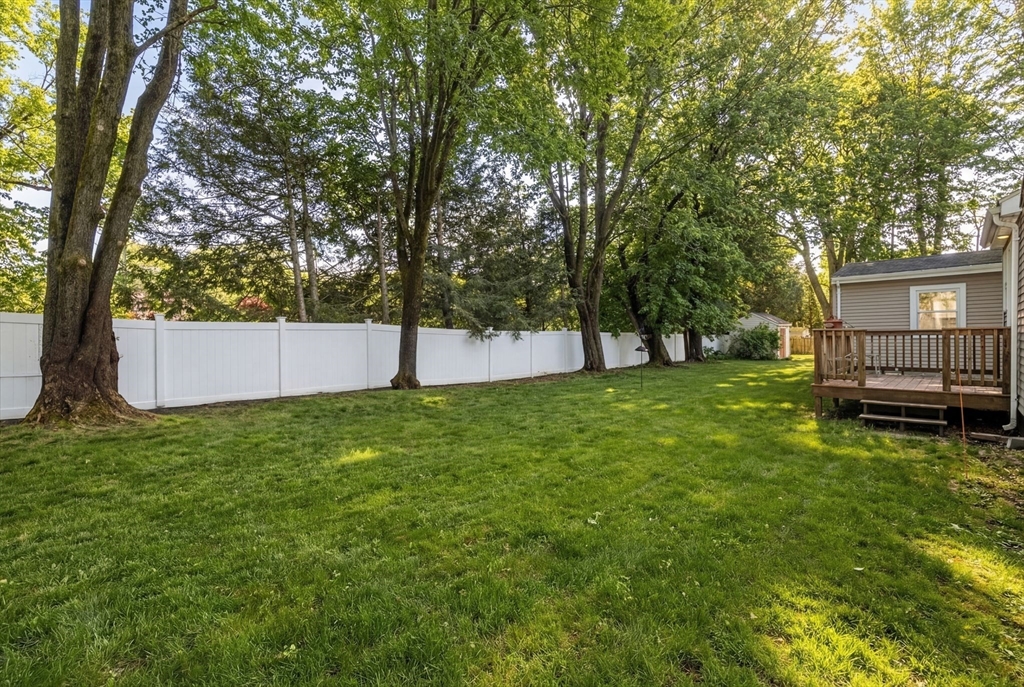 630 Pleasant Street Canton, MA 02021 - Photo 3 of 31 a view of a backyard with a small cabin