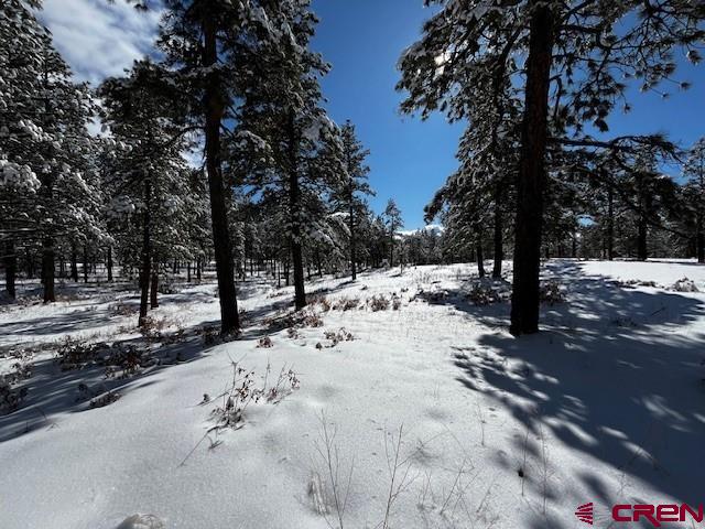 91 Pine Way Bayfield, CO 81122 - Photo 2 of 10 a view of a snow on the road