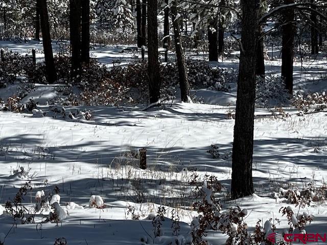 91 Pine Way Bayfield, CO 81122 - Photo 3 of 10 a view of a yard with wooden fence