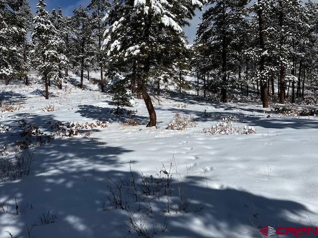 91 Pine Way Bayfield, CO 81122 - Photo 4 of 10 a view of dirt yard with a tree