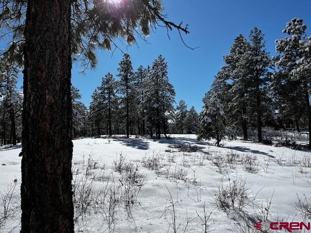 91 Pine Way Bayfield, CO 81122 - Photo 5 of 10 a view of a outdoor space covered with snow