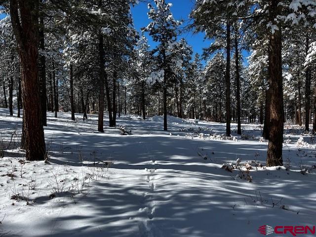 91 Pine Way Bayfield, CO 81122 - Photo 6 of 10 a view of street with trees