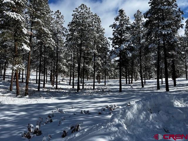 91 Pine Way Bayfield, CO 81122 - Photo 9 of 10 a view of road with trees
