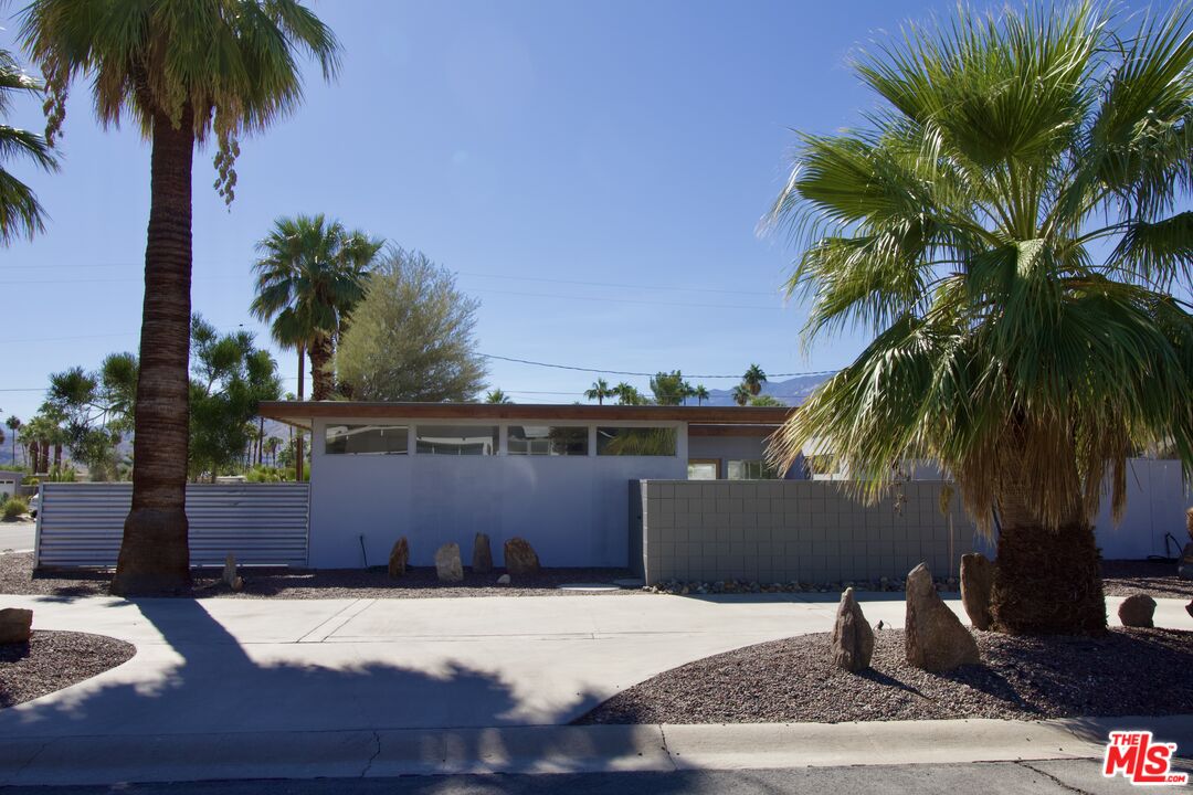 a palm tree sitting in front of a house