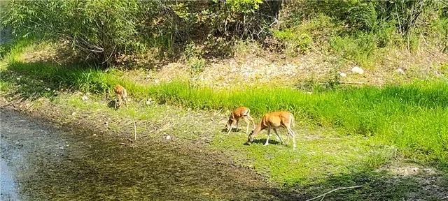 $350,000 | 11270 Northeast 1351st Road, Osceola, MO 64776