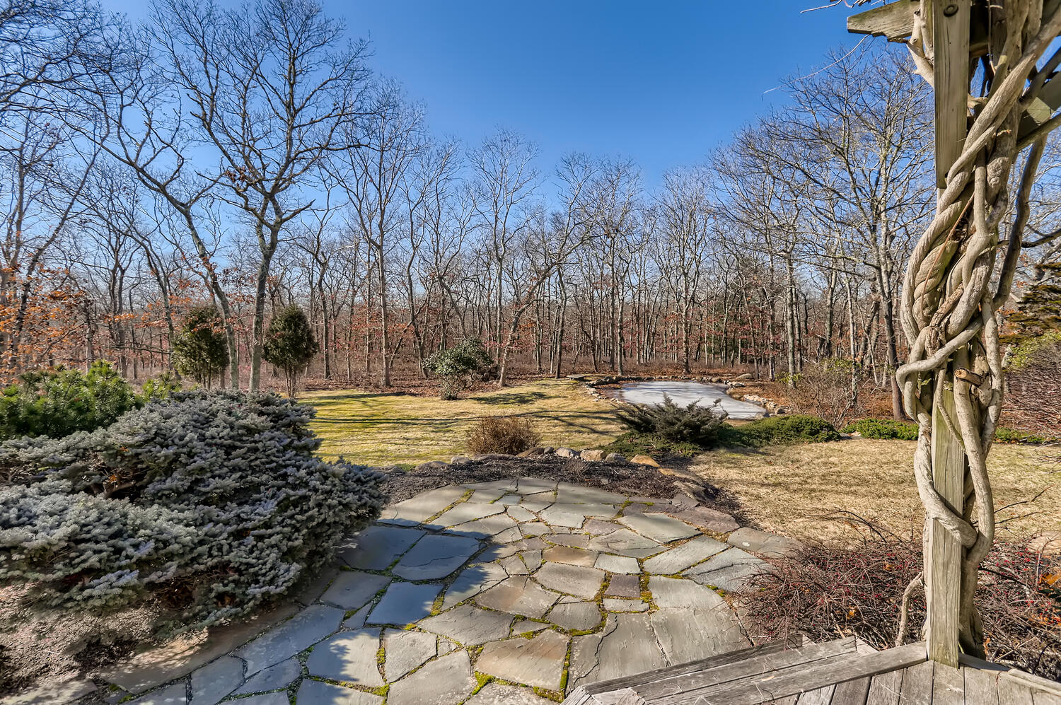 40 Bridle Path Road Vineyard Haven, MA 02568 - Photo 39 of 39 a view of a yard with trees