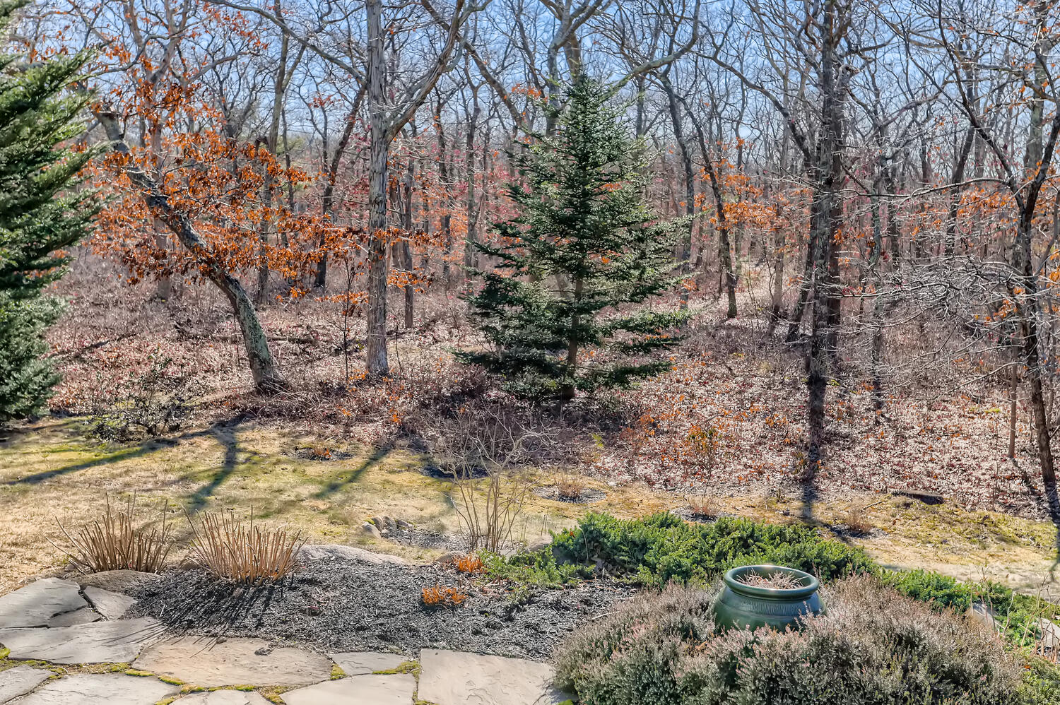 40 Bridle Path Road Vineyard Haven, MA 02568 - Photo 9 of 39 a backyard of a house with lots of green space