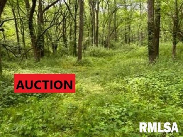 8176 East Airport Road Ipava, IL 61441 - Photo 1 of 23