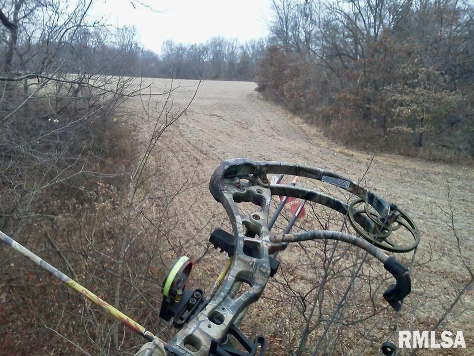 8176 East Airport Road Ipava, IL 61441 - Photo 17 of 23