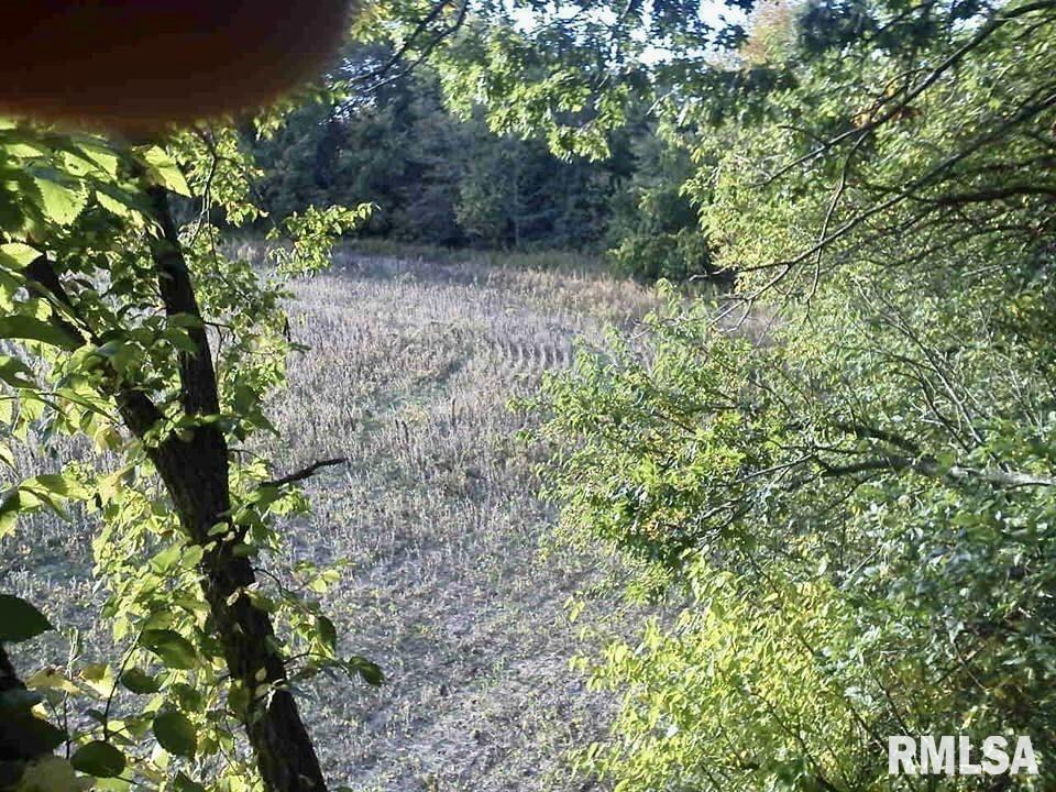 8176 East Airport Road Ipava, IL 61441 - Photo 18 of 23