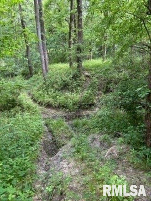 8176 East Airport Road Ipava, IL 61441 - Photo 2 of 23