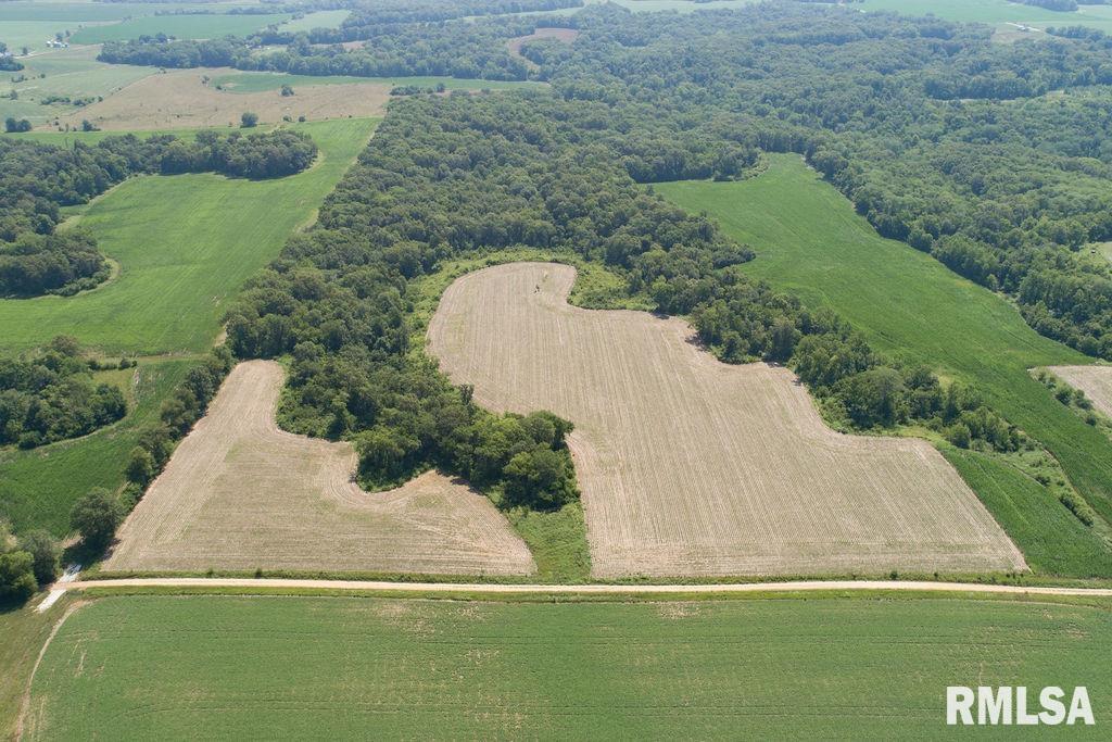 8176 East Airport Road Ipava, IL 61441 - Photo 21 of 23