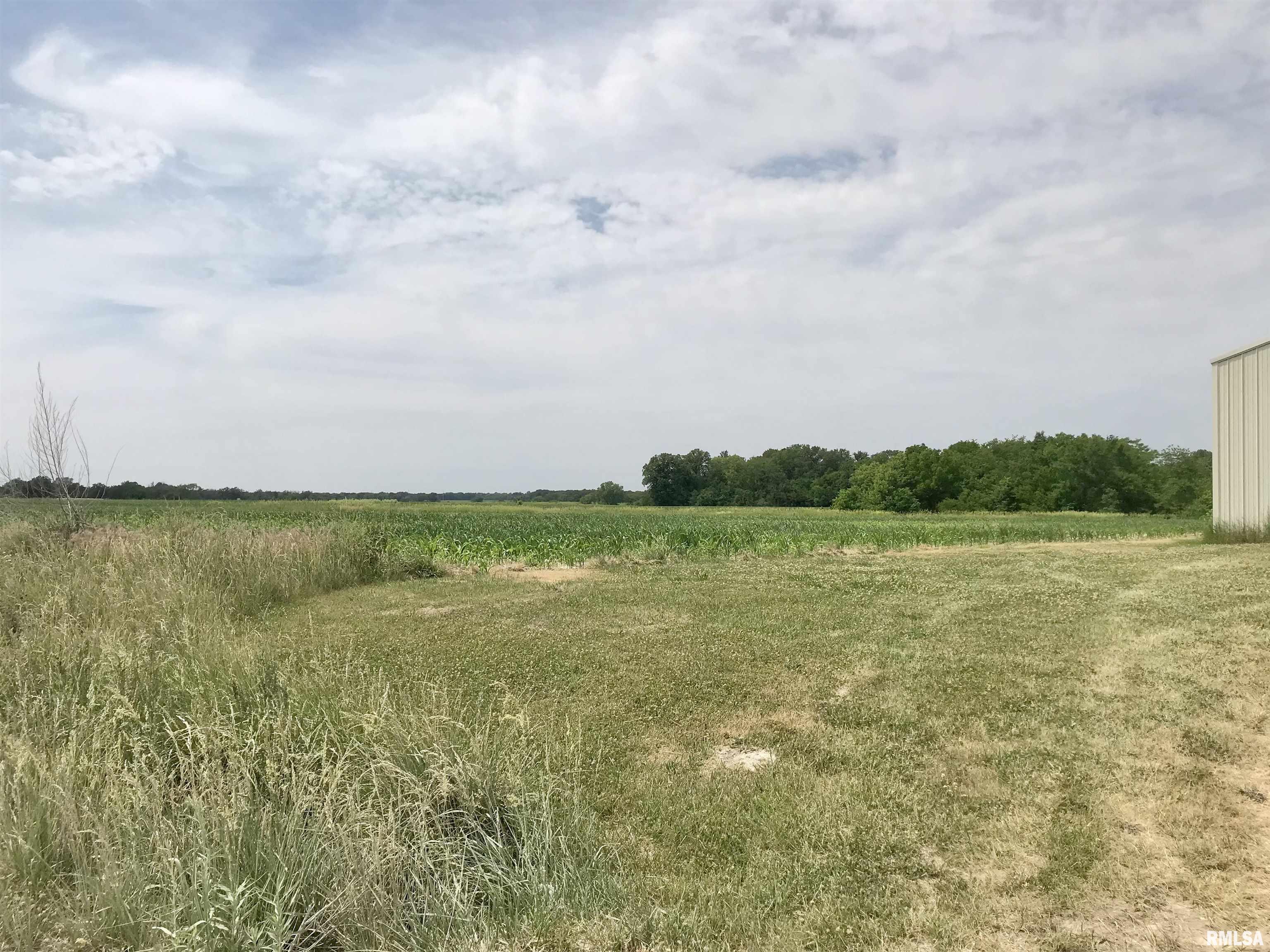 8176 East Airport Road Ipava, IL 61441 - Photo 7 of 23