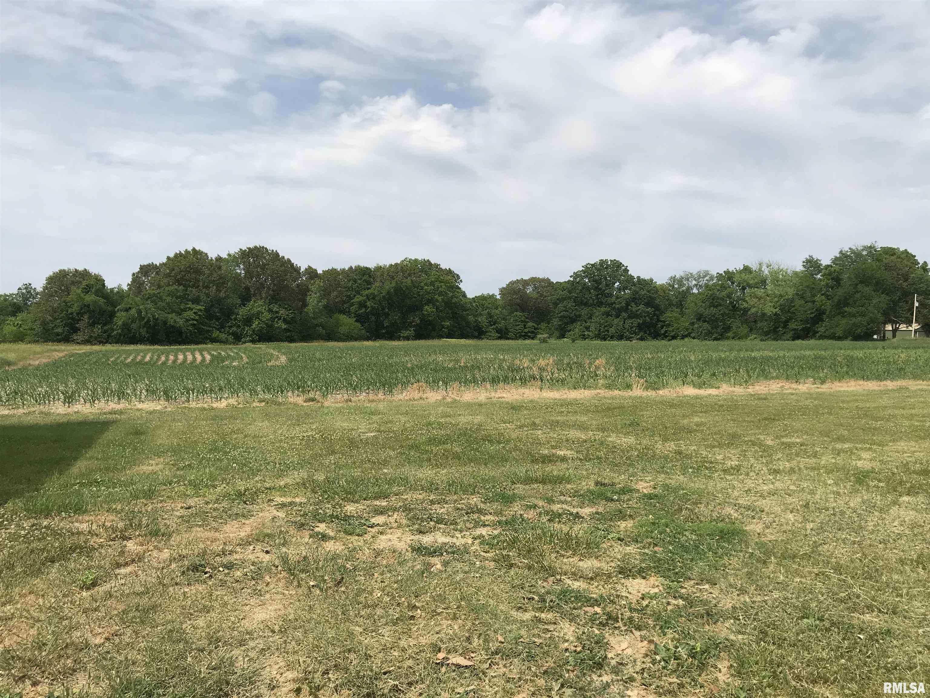 8176 East Airport Road Ipava, IL 61441 - Photo 8 of 23