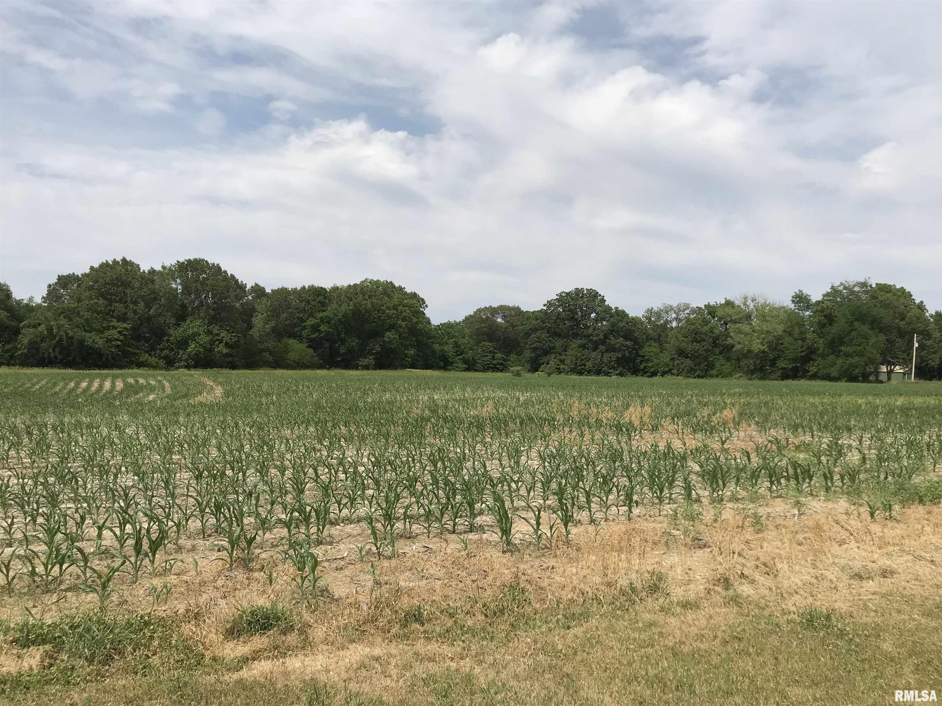 8176 East Airport Road Ipava, IL 61441 - Photo 9 of 23