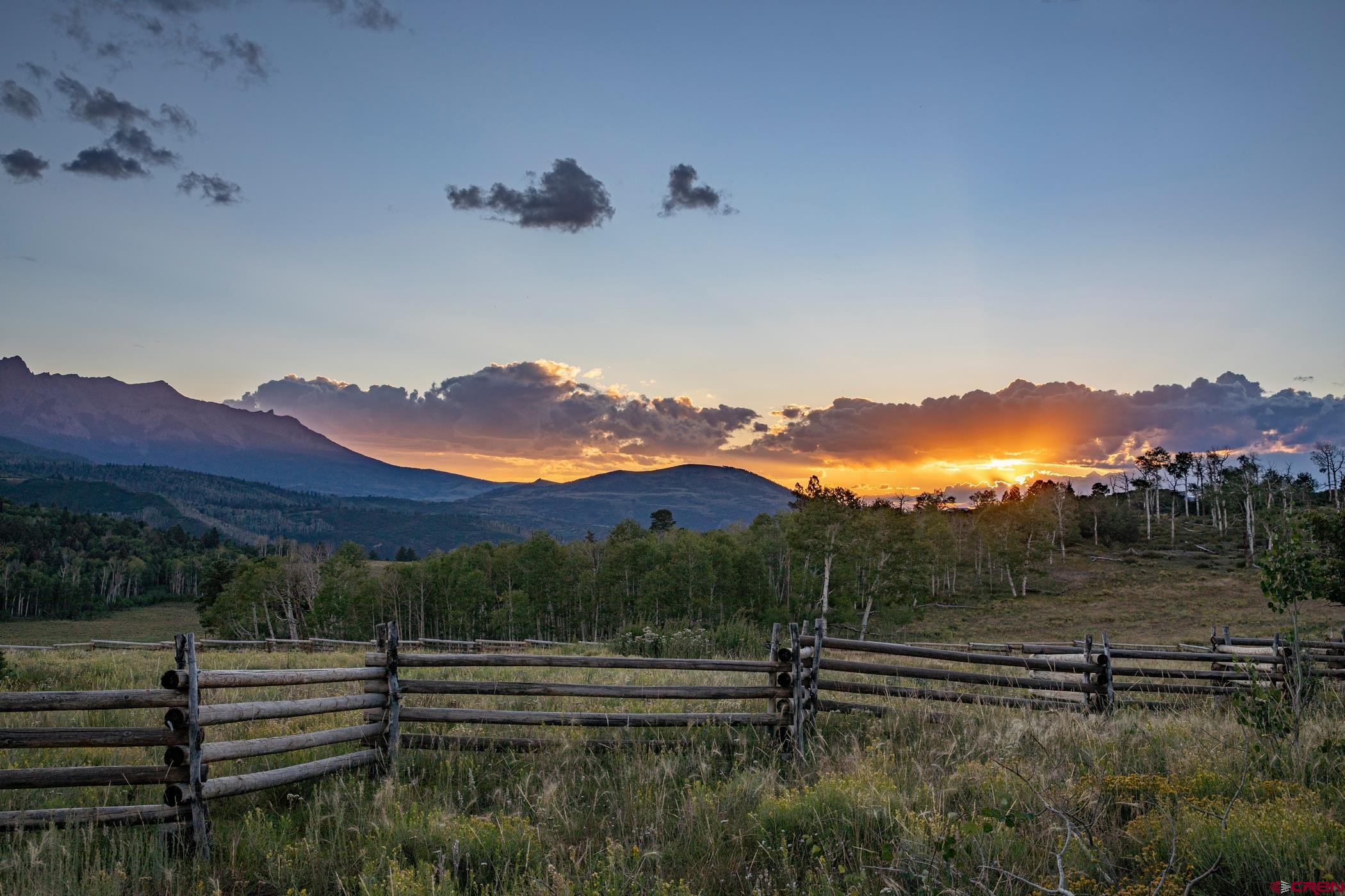 9706 County Road 5 Ridgway, CO 81432 - Photo 3 of 33 a view of a yard with mountain view
