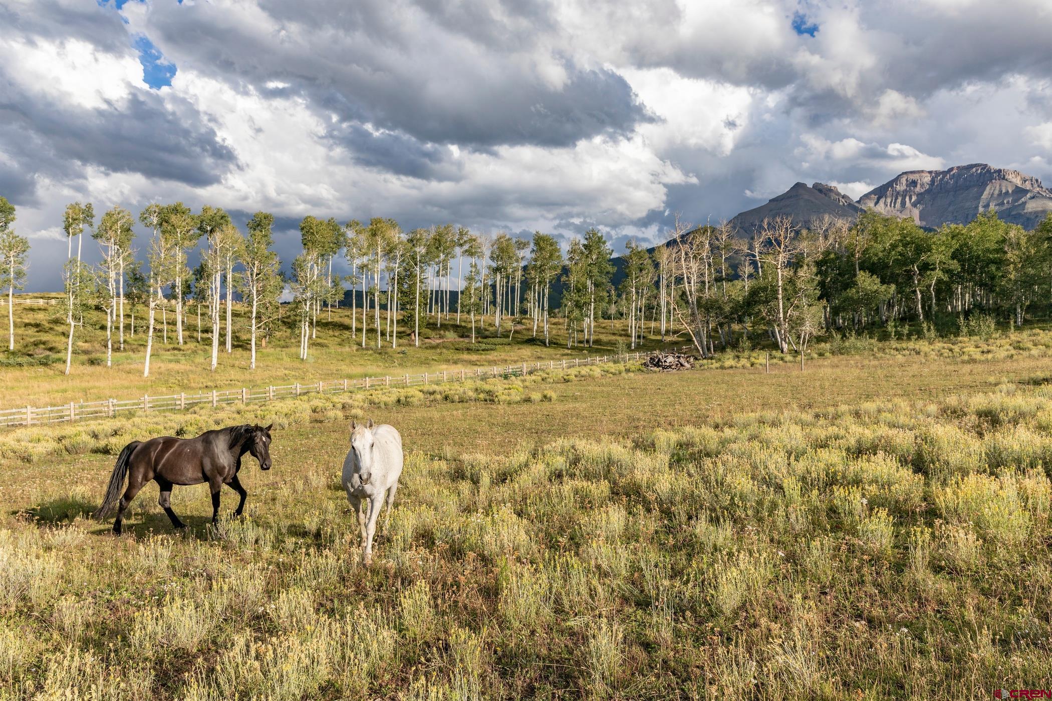 9706 County Road 5 Ridgway, CO 81432 - Photo 28 of 33 a view of a fountain with a big yard
