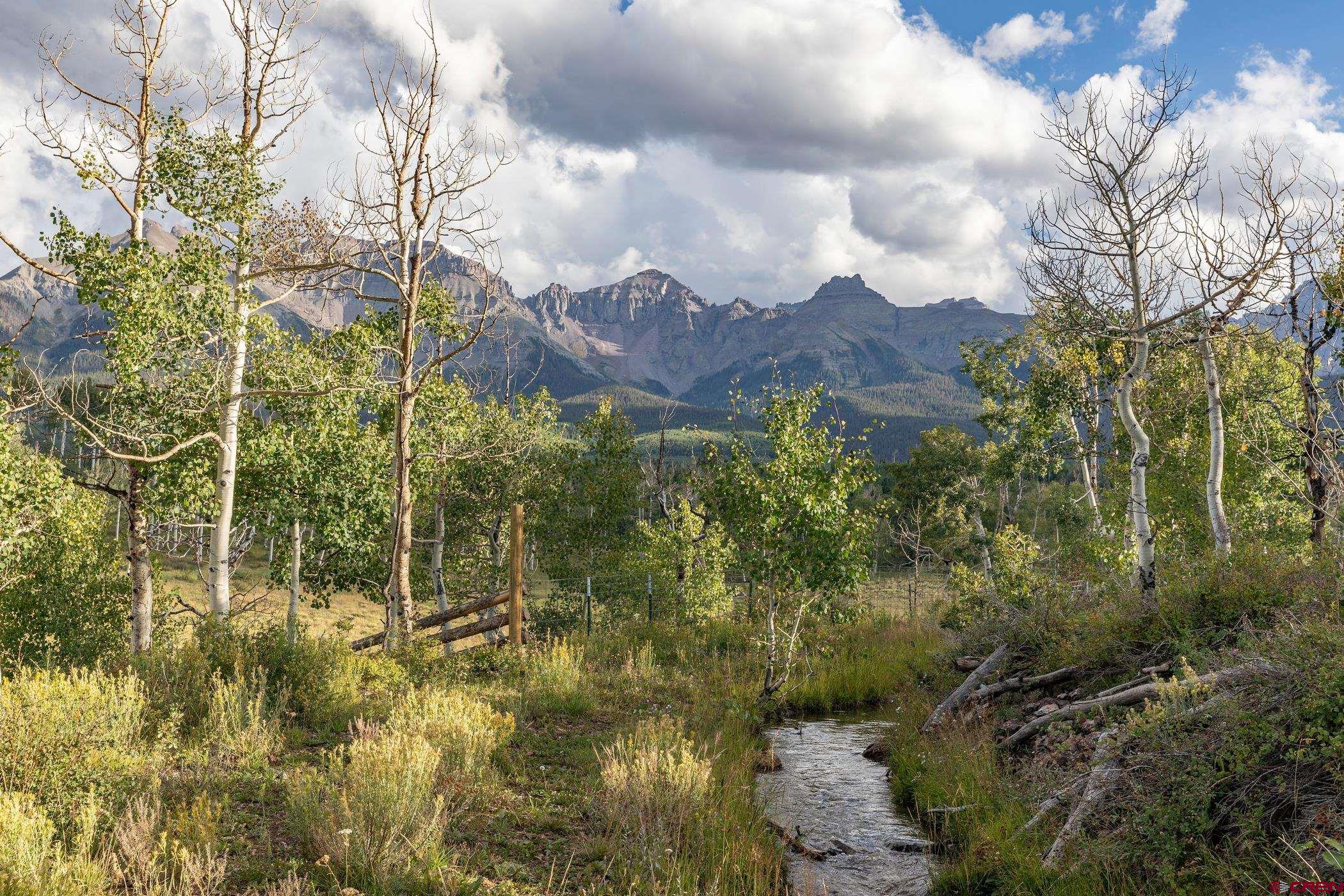 9706 County Road 5 Ridgway, CO 81432 - Photo 29 of 33 a view of a bunch of trees and bushes