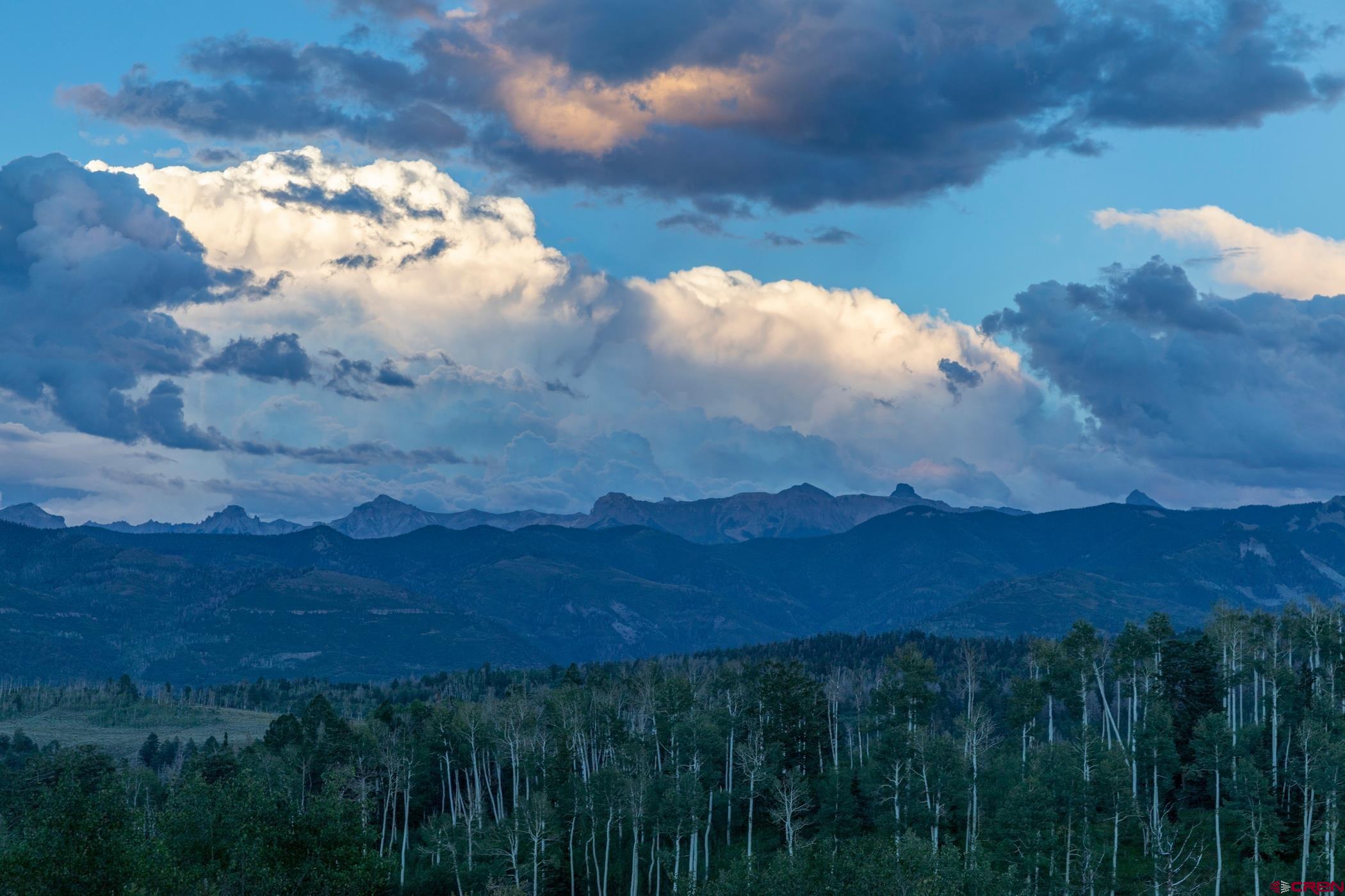 9706 County Road 5 Ridgway, CO 81432 - Photo 4 of 33 a view of a backyard of a house