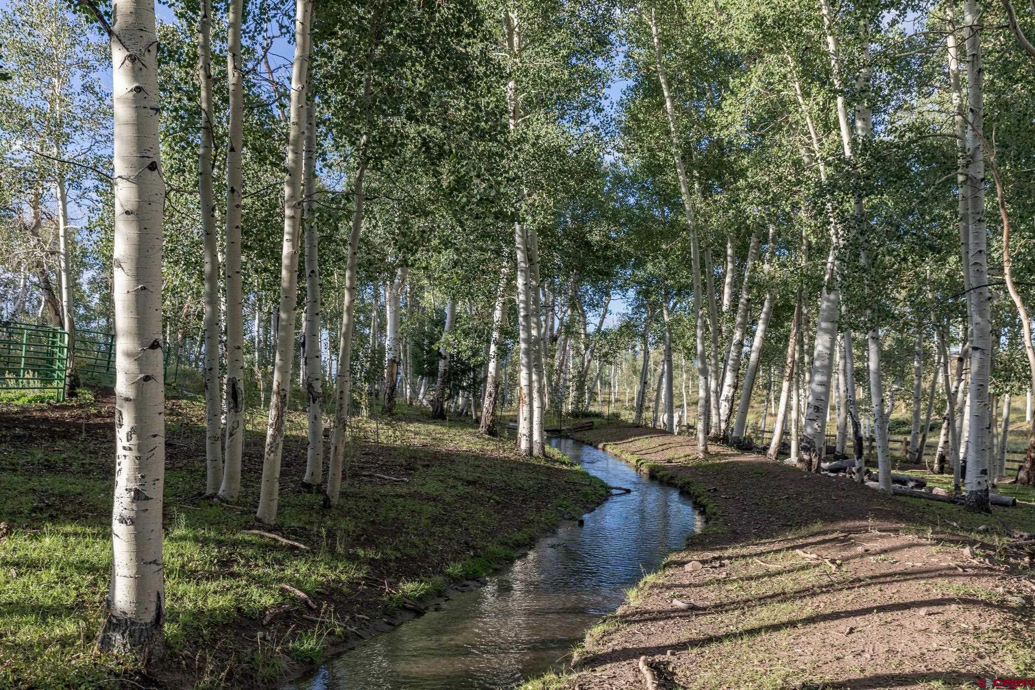 9706 County Road 5 Ridgway, CO 81432 - Photo 5 of 33 a view of a park with large trees