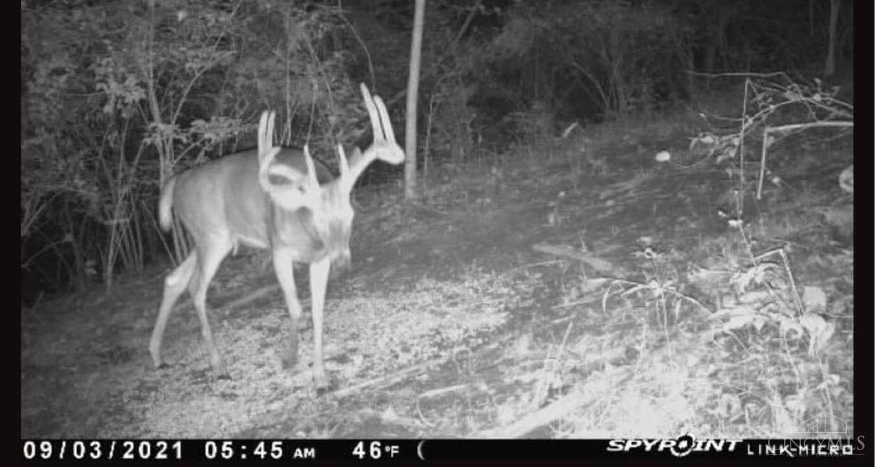0 Reel Ridge Road Stout, OH 45684 - Photo 23 of 49