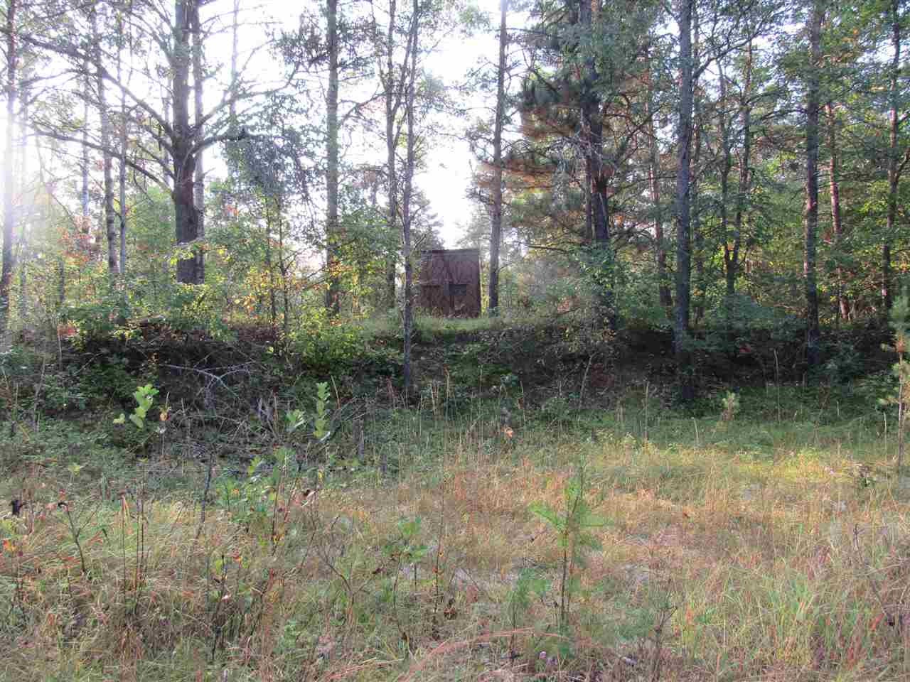 Xxx Leline Road Roscommon, MI 48653 - Photo 1 of 16 Gallery Image 1