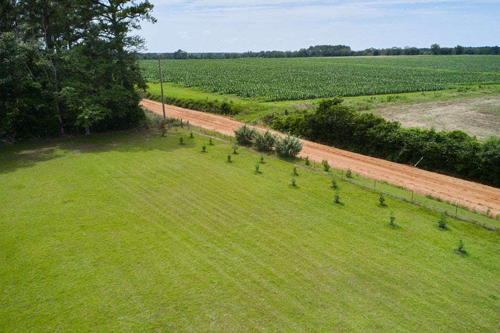 365 Old Pavo Road Pavo, GA 31778 - Photo 70 of 70 Gallery Image 70