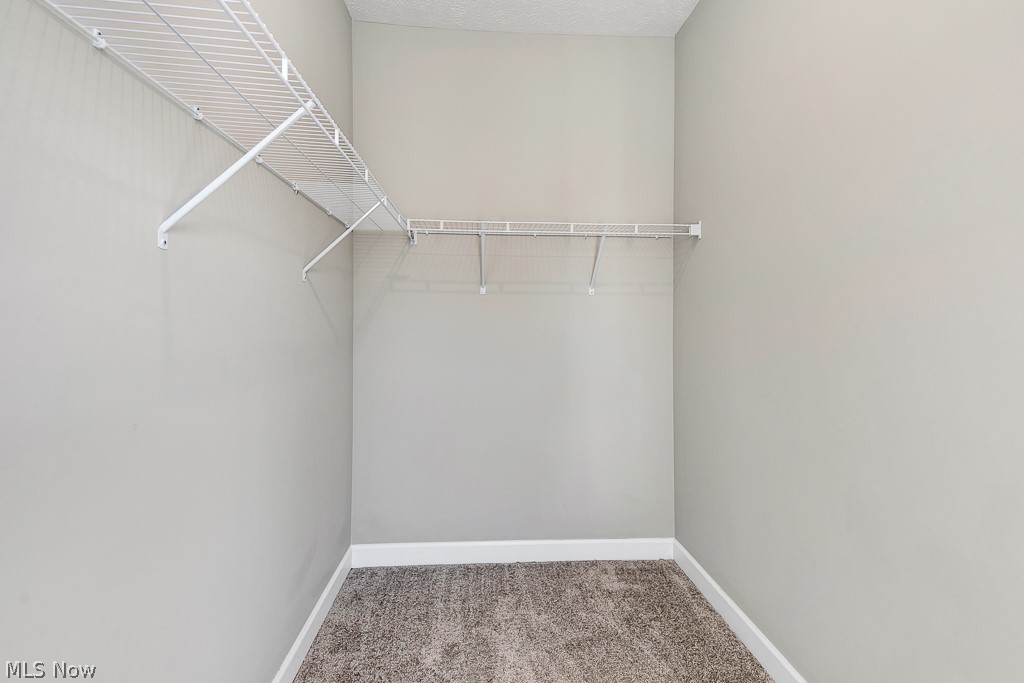 3601 Bailey Avenue Cleveland, OH 44113 - Photo 16 of 22 Walk in closet with carpet flooring