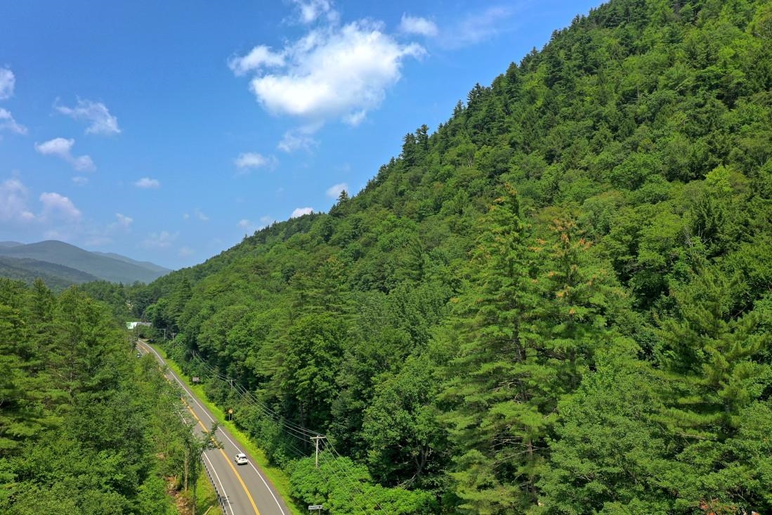 0 Route 100 Plymouth Vt  