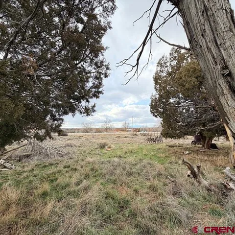 $47,000 | 51654 Highway 491 Cahone Co 81320, Cahone, CO 81320