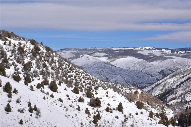 1650 Red Draw Edwards, CO 81632 - Photo 1 of 16 Primary Photo