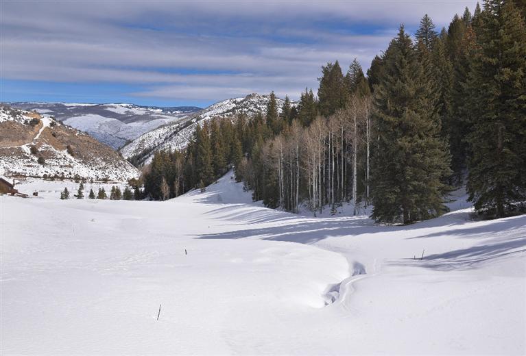 1650 Red Draw Edwards, CO 81632 - Photo 3 of 16 Additional Photo