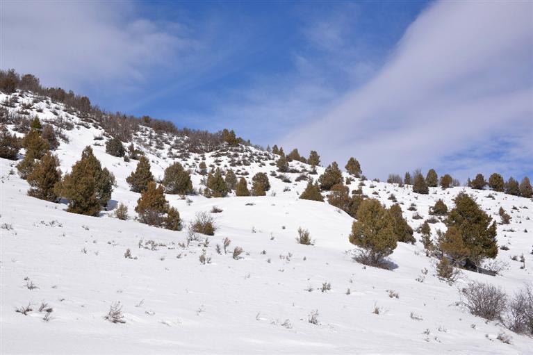 1650 Red Draw Edwards, CO 81632 - Photo 5 of 16 Additional Photo