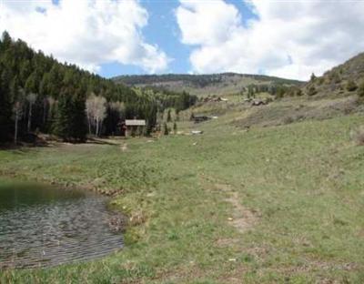 1650 Red Draw Edwards, CO 81632 - Photo 9 of 16 Additional Photo