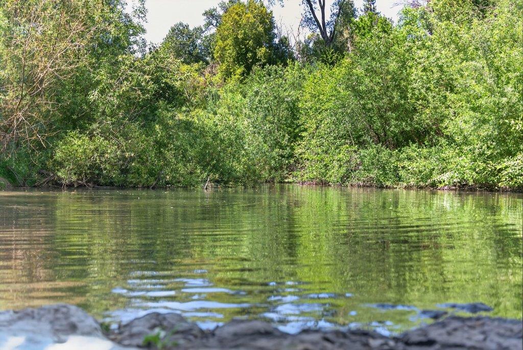 125 Shadowbrook Road Ben Lomond, CA 95005 - Photo 53 of 60 a view of a lake view with a large trees