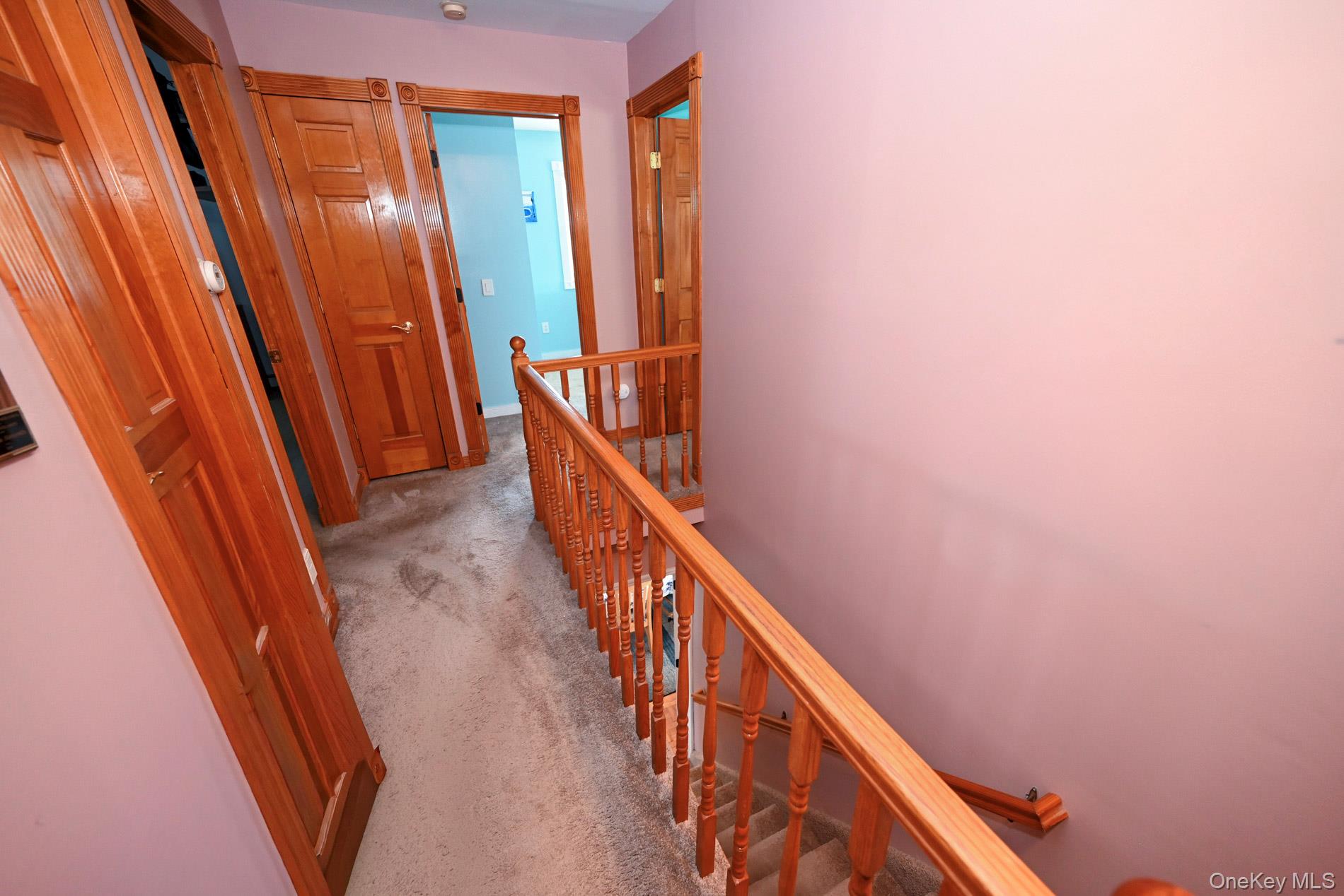 258 Rintin Street Franklin Square, NY 11010 - Photo 11 of 30