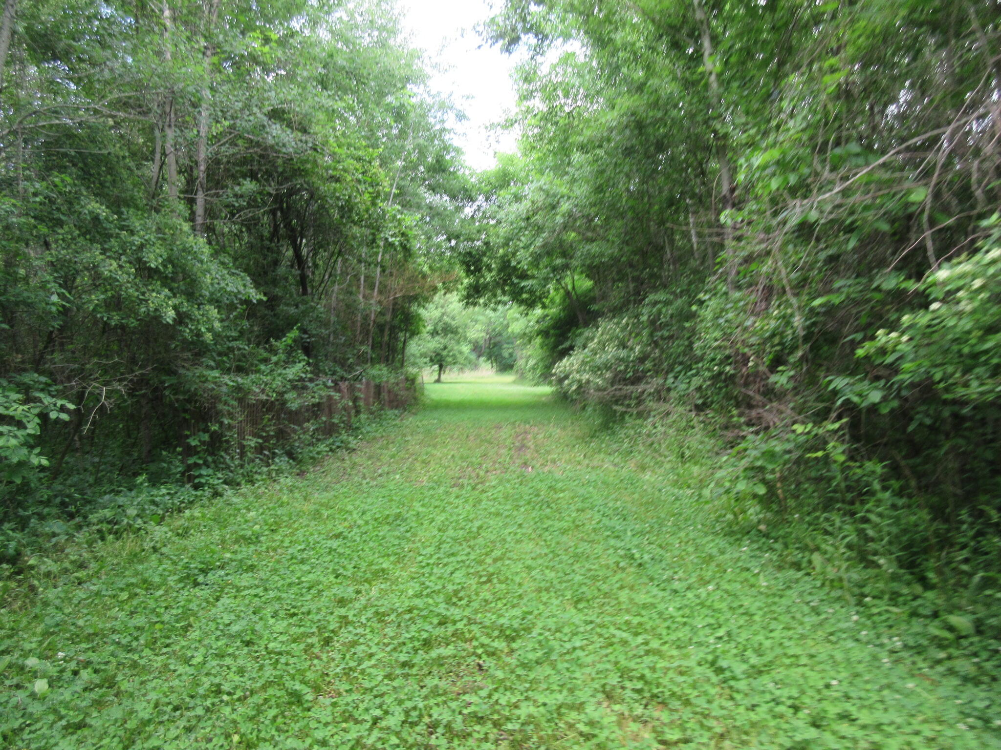 9400 East Spencer Road Crystal, MI 48818 - Photo 54 of 71 IMG_0575