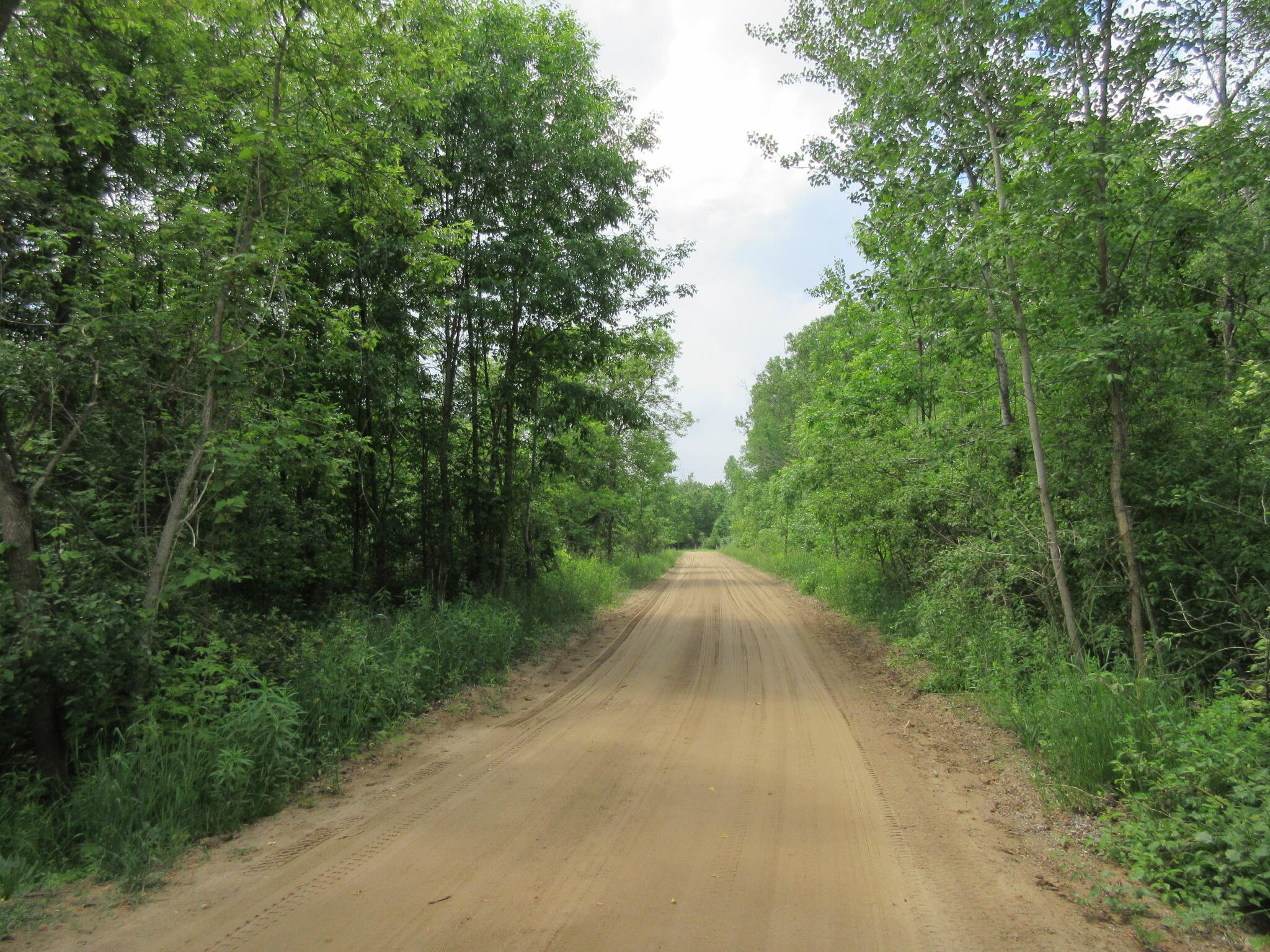 9400 East Spencer Road Crystal, MI 48818 - Photo 69 of 71 IMG_0603