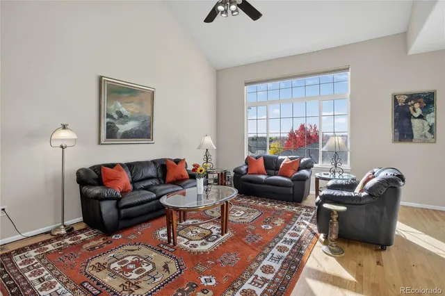 a living room with furniture a rug and a window