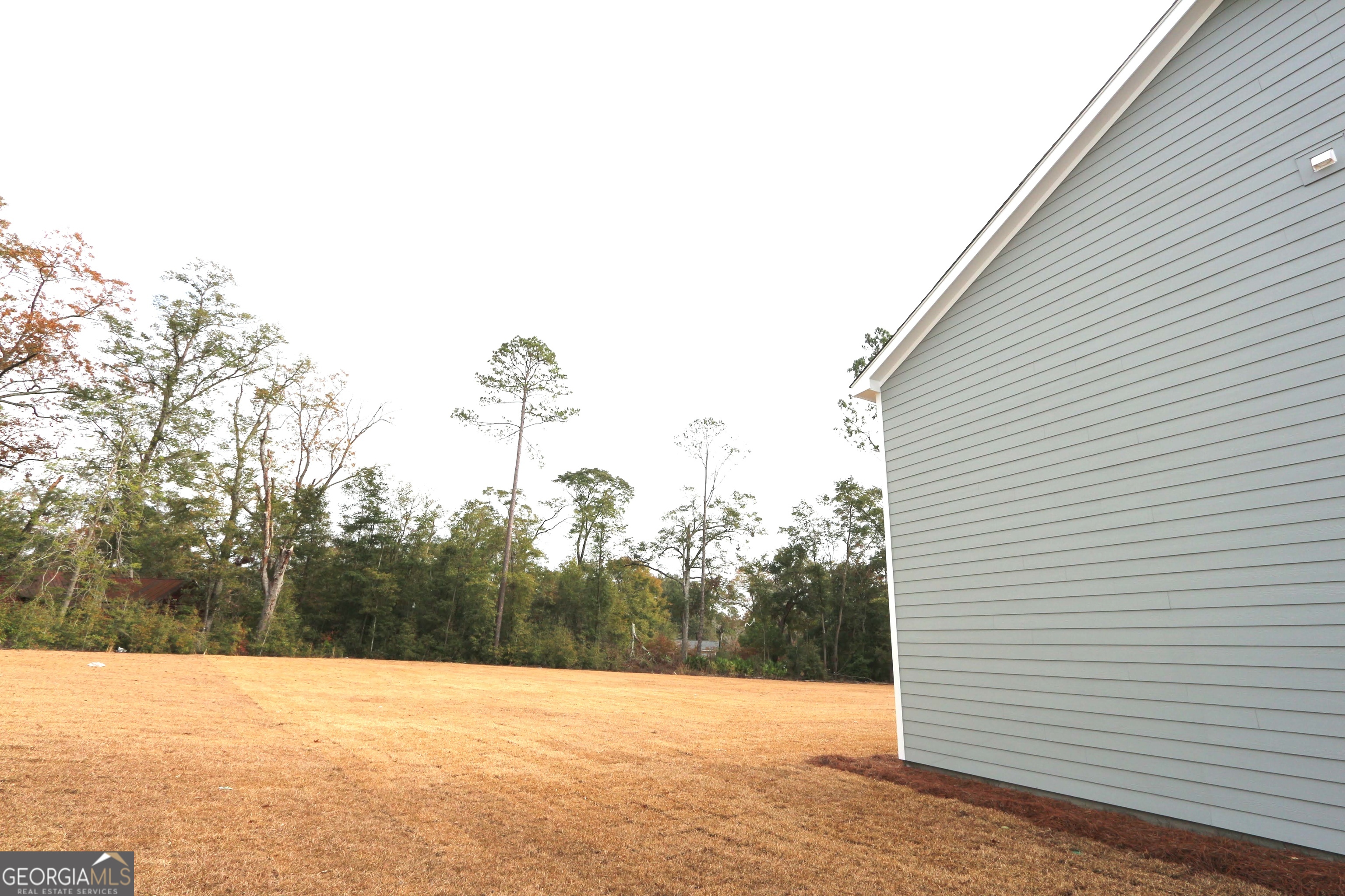 121 Buckeye Road Guyton, GA 31312 - Photo 22 of 22