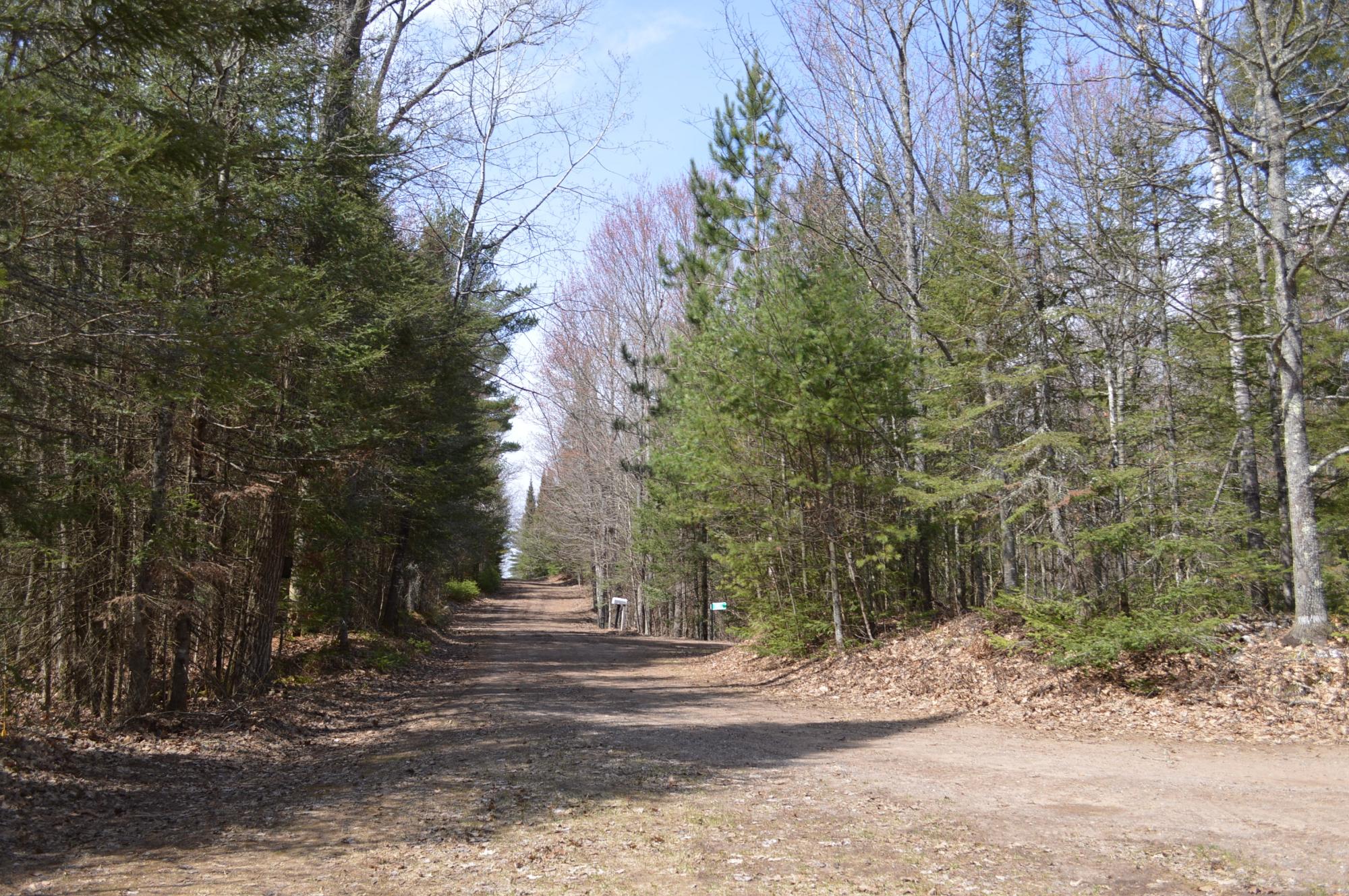 Lot 5 Columbus Road Conover, WI 54519 - Photo 4 of 14 Gallery Image 4