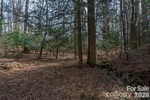 Tbd Ball Gap Road Arden, NC 28704 - Photo 5 of 5