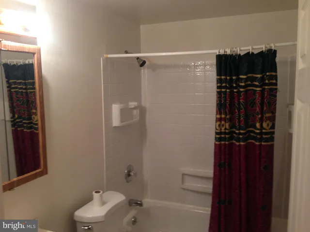 a view of a park with large trees