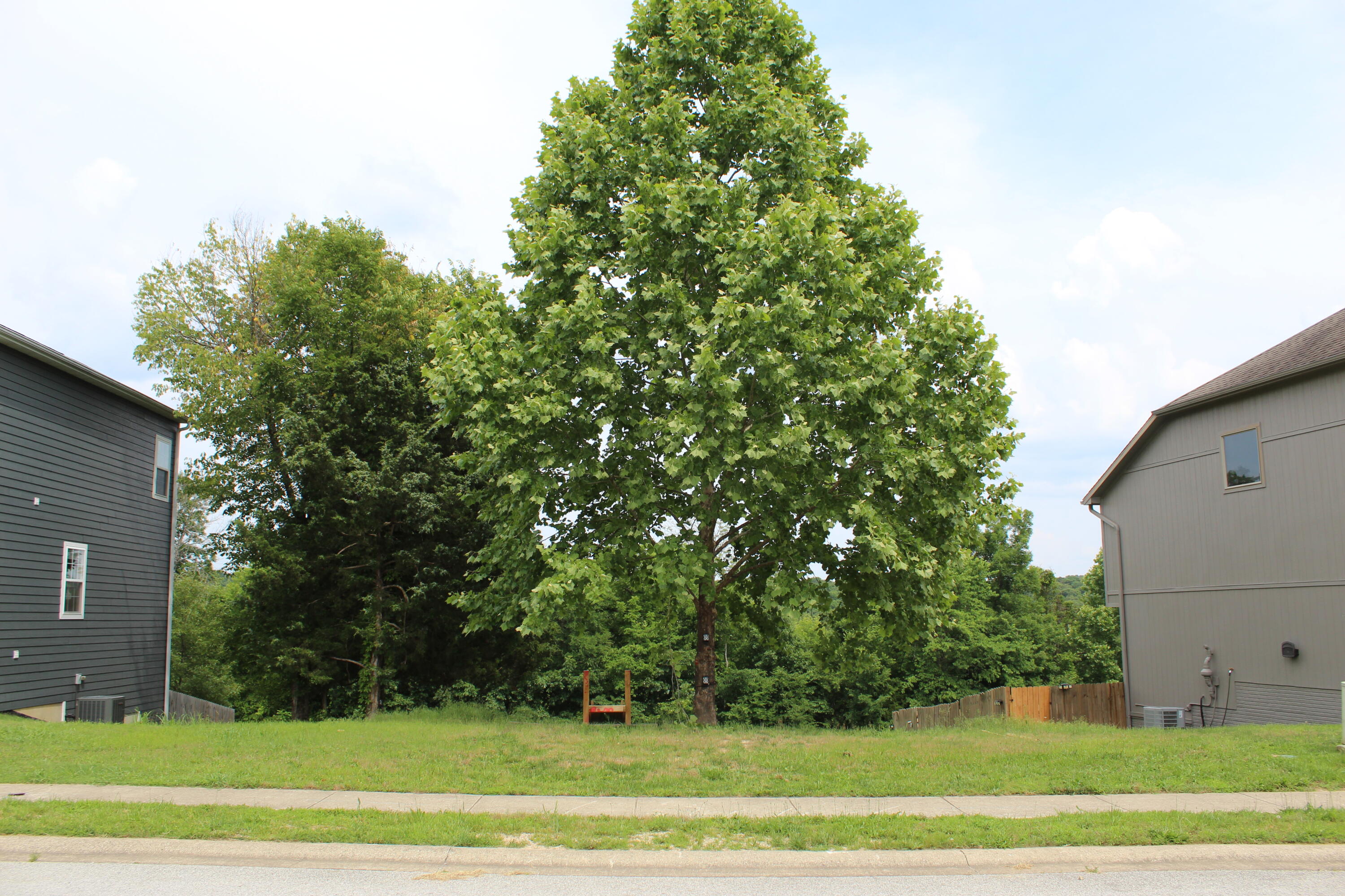 182 Country Ridge Way Branson, MO 65616 - Photo 1 of 1 Lot 1