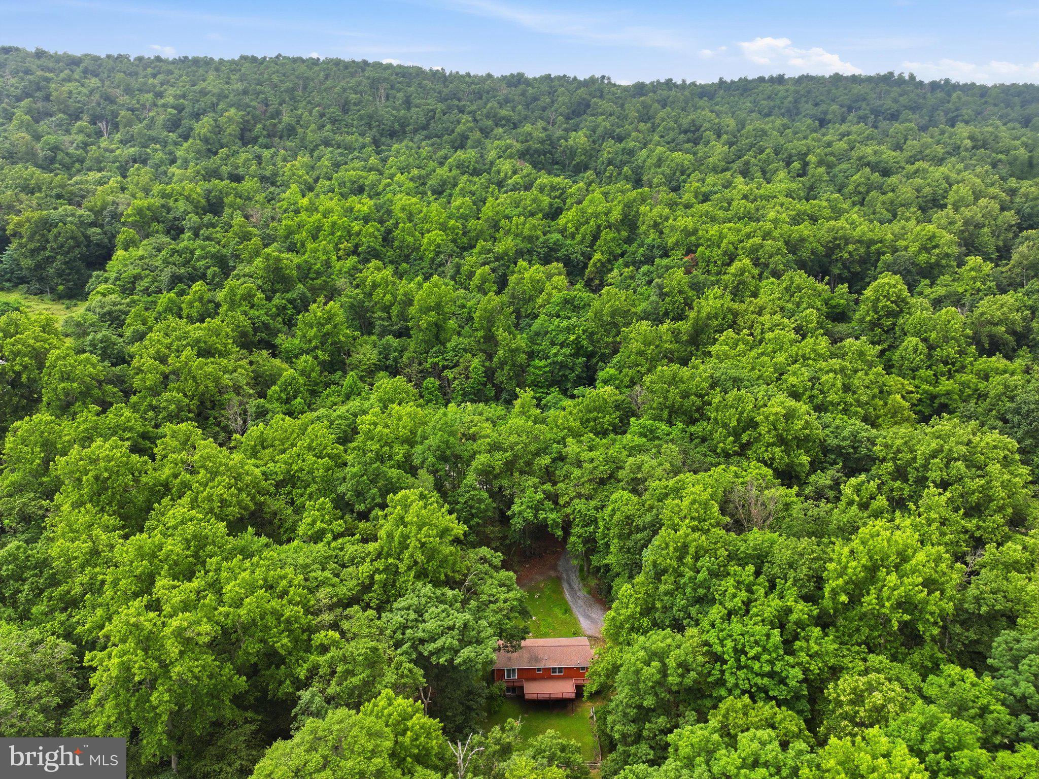 1335 Brown Road Knoxville, MD 21758 - Photo 58 of 68 Aerial Back