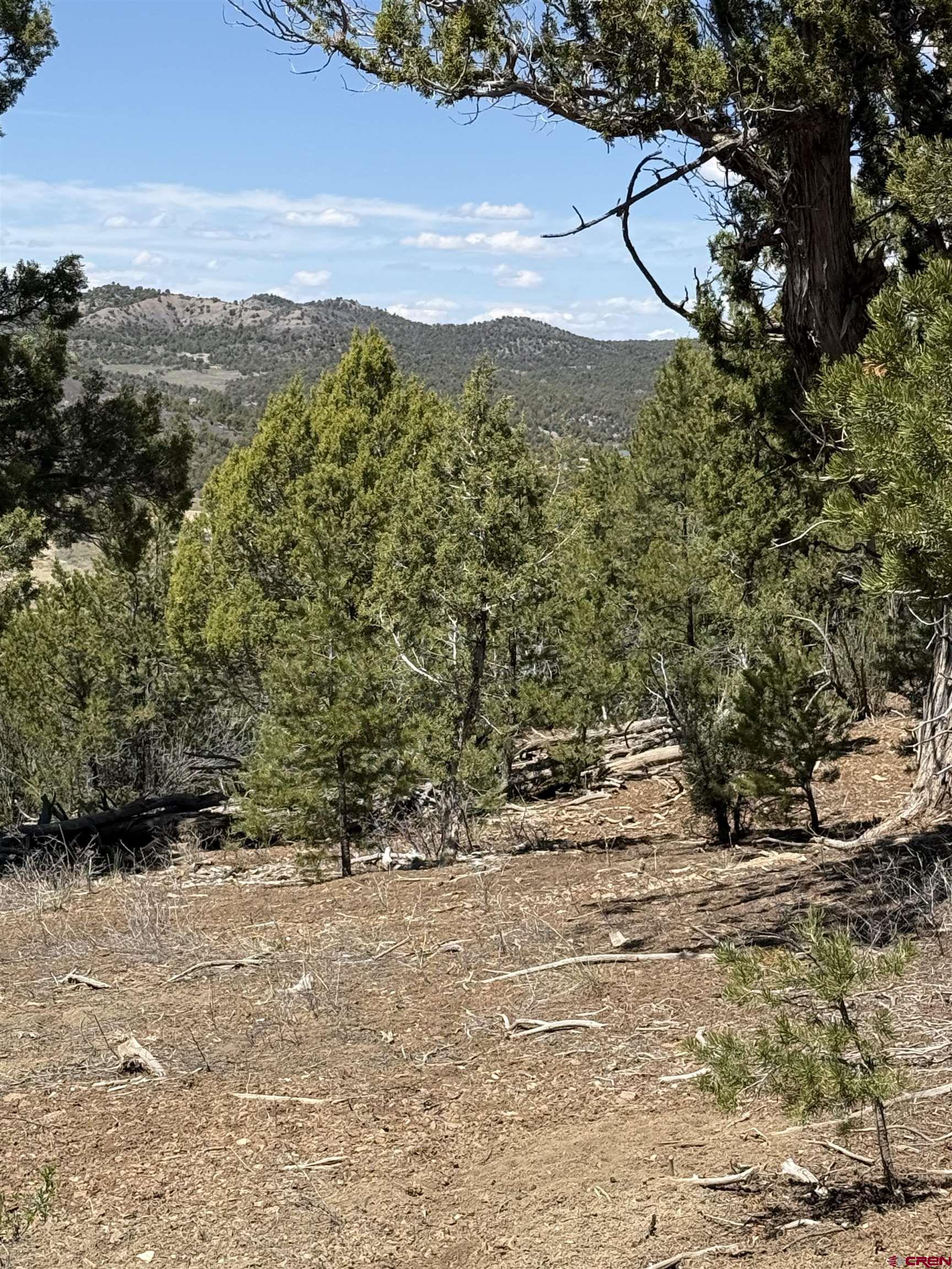 J8 Rd Mancos Co 81328 Road Mancos, CO 81328 - Photo 11 of 12 a view of a yard with an outdoor space