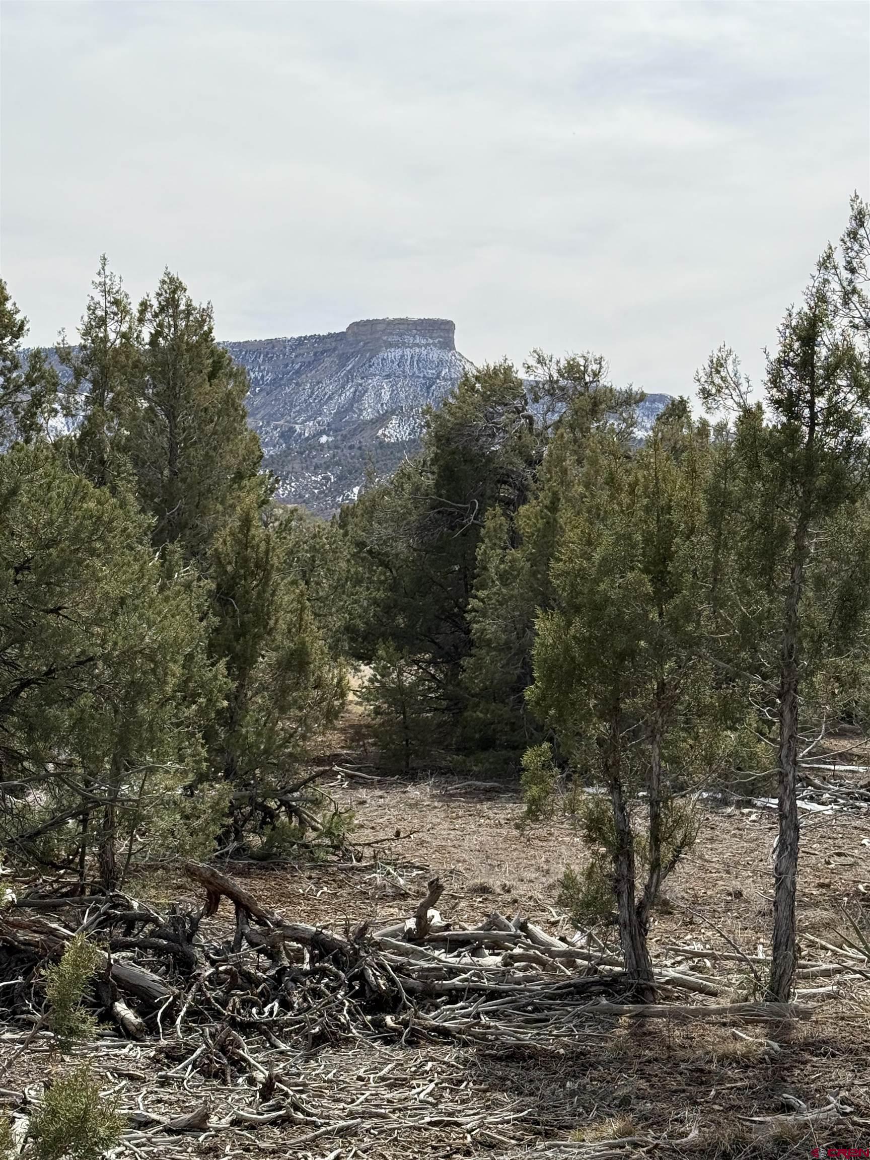 J8 Rd Mancos Co 81328 Road Mancos, CO 81328 - Photo 12 of 12 a view of a dry field with trees in the background